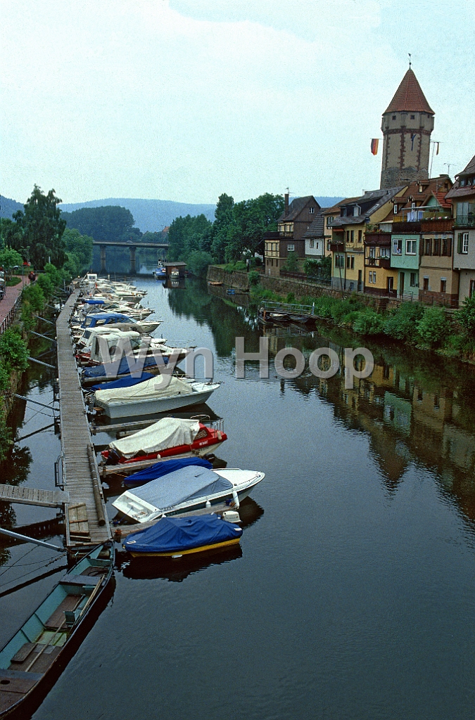 Main Wertheim Taubermuendung_2 km156,6.jpg - Die Taubermündung bei Wertheim am Main, Main-km 156,6